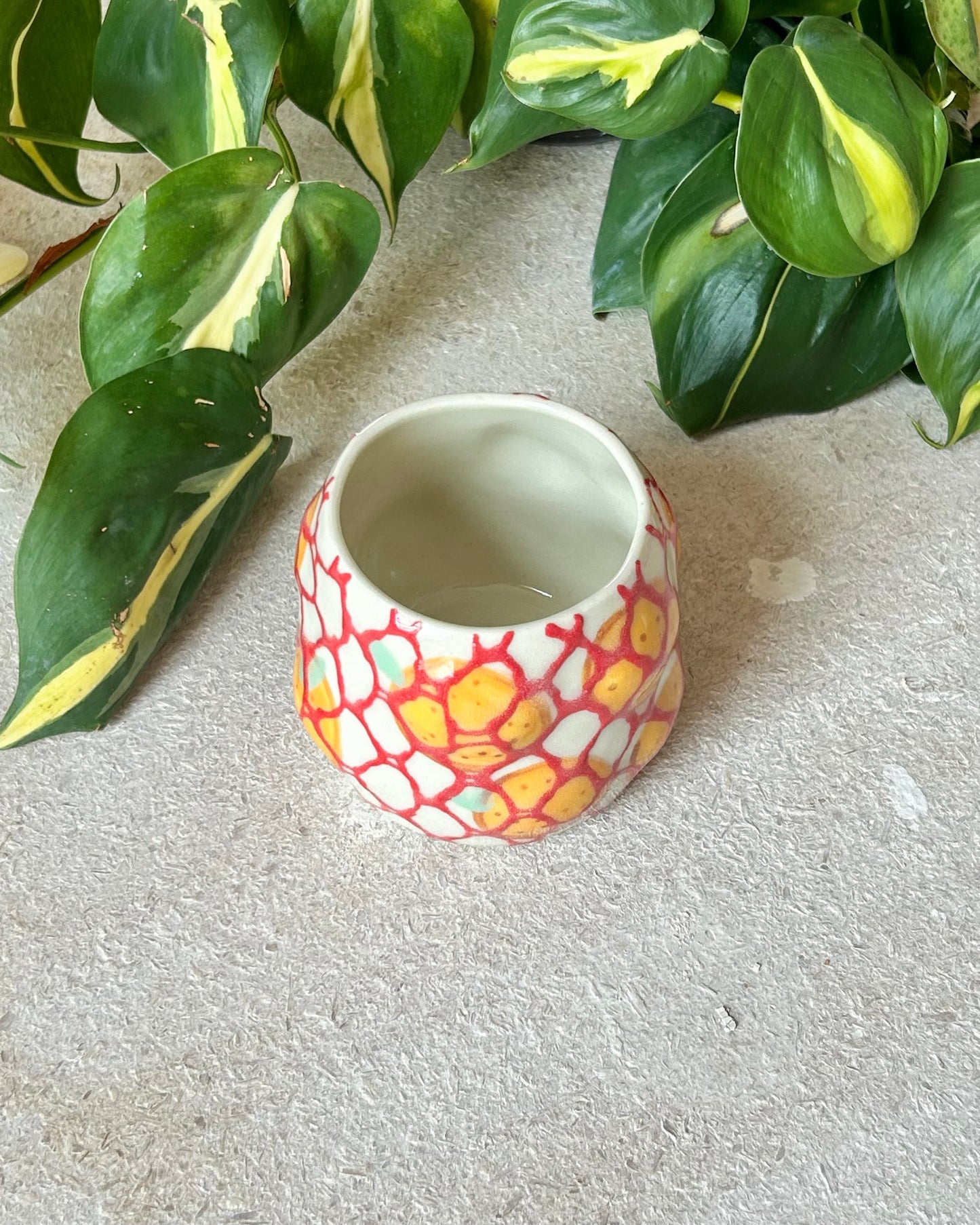 Bag of Orange cups
