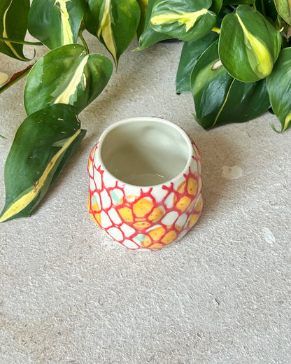 Bag of Orange cups