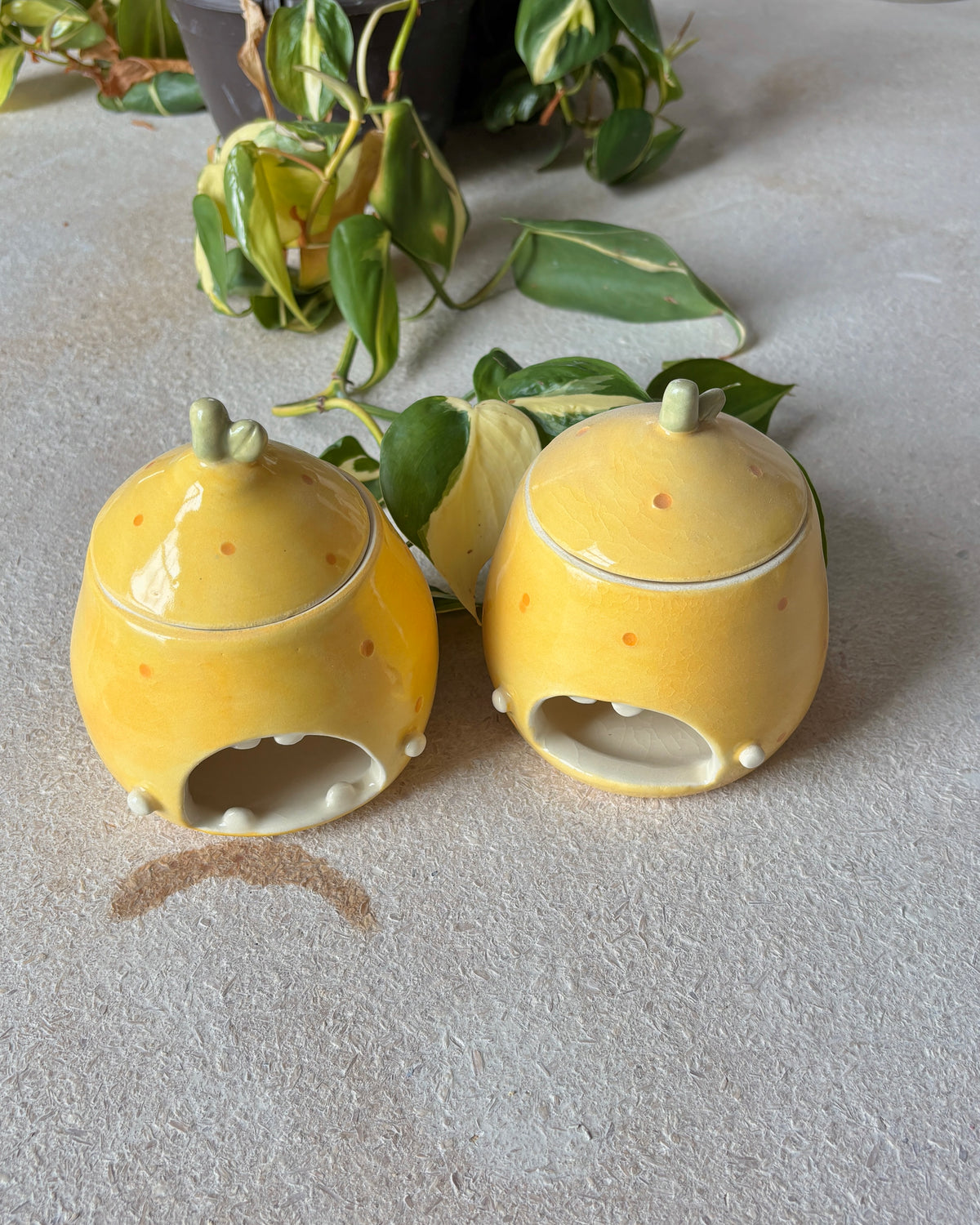 lemon candle jars (imperfect)