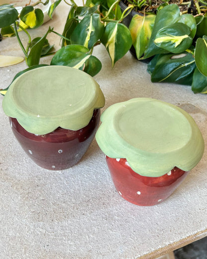 Strawberry Butter Bell (imperfect)
