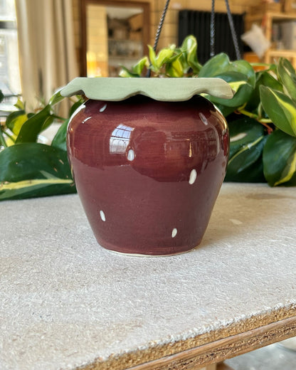 Strawberry Butter Bell (imperfect)