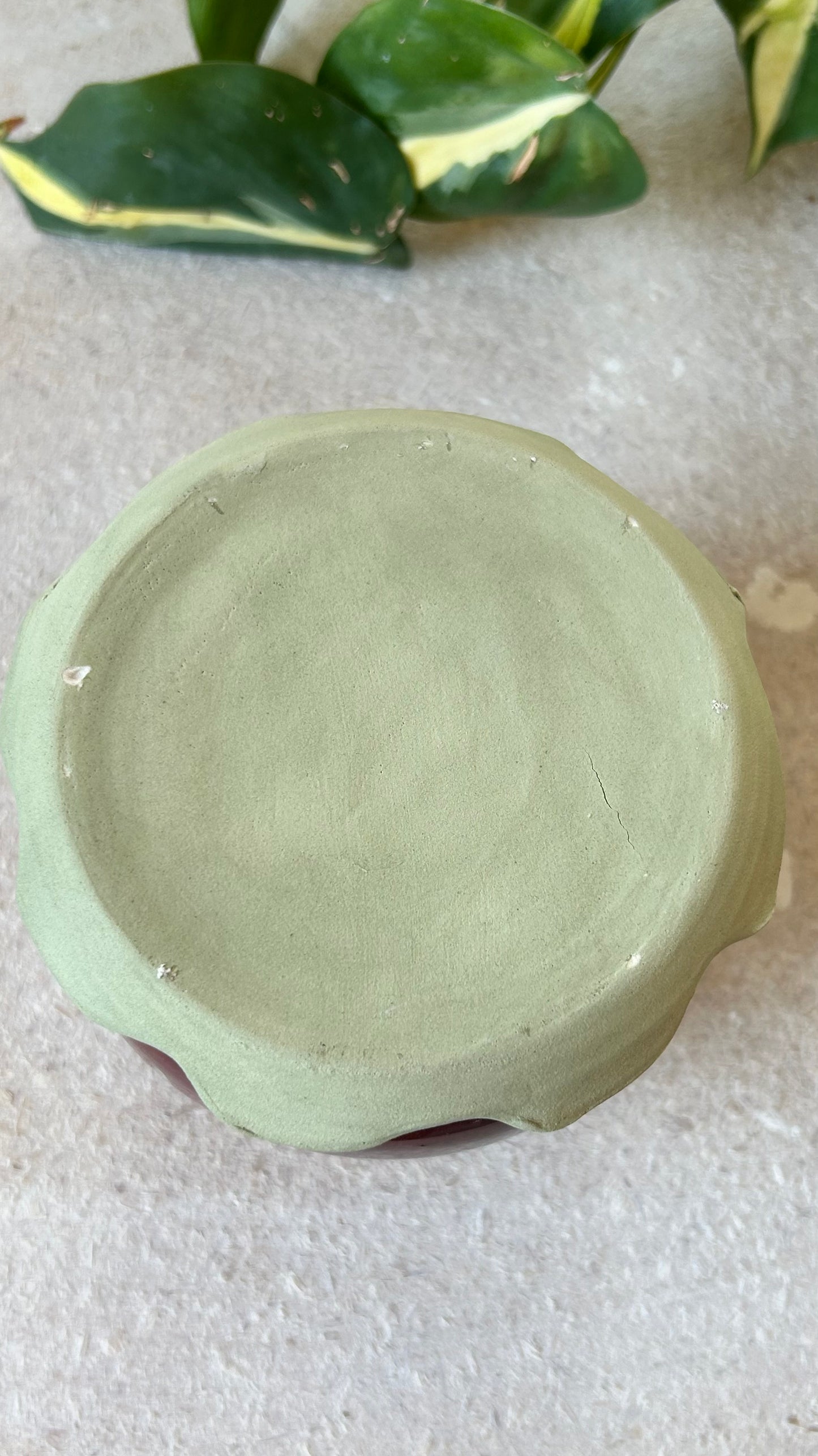 Strawberry Butter Bell (imperfect)