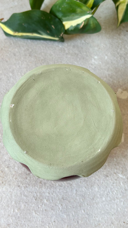 Strawberry Butter Bell (imperfect)