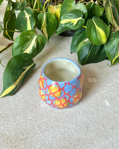 Bag of Orange cups