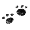 Paws tab icon