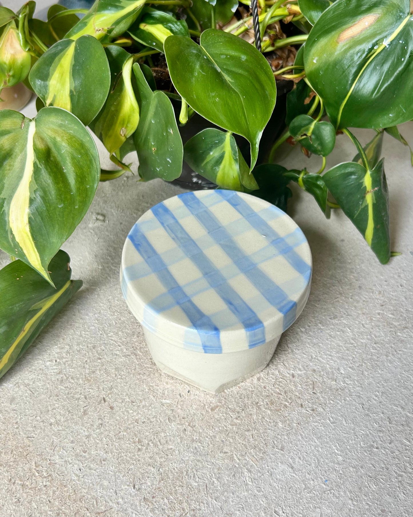 gingham jar cup + coaster (imperfect)
