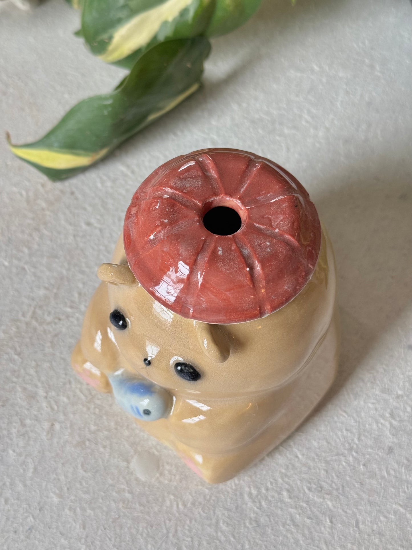 Tawny Bear Tumbler (imperfect)