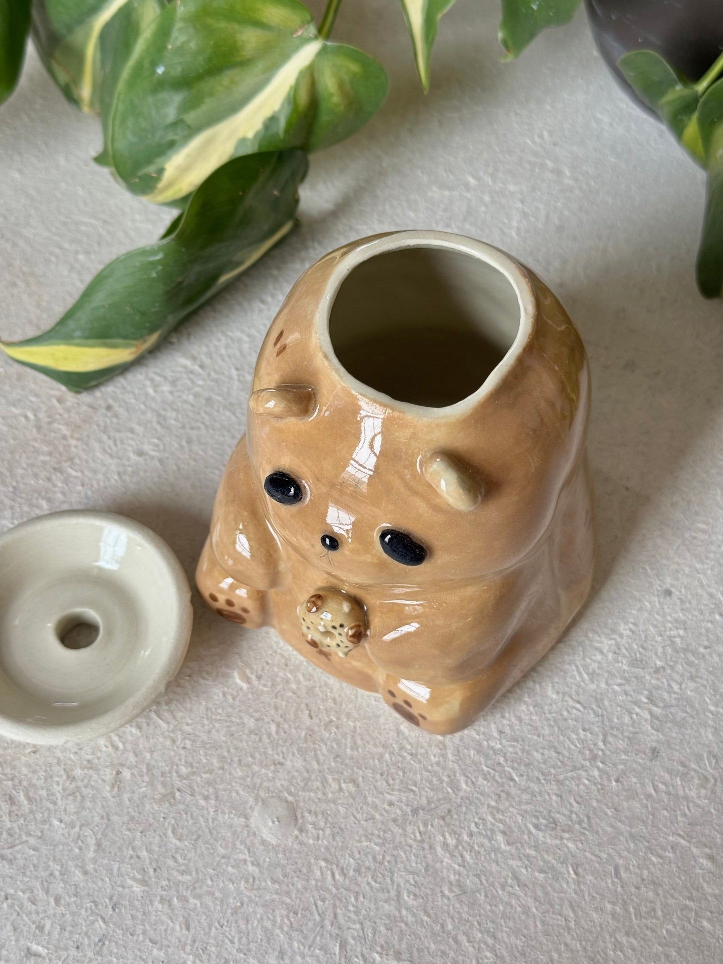 Chestnut Bear Tumbler (imperfect)