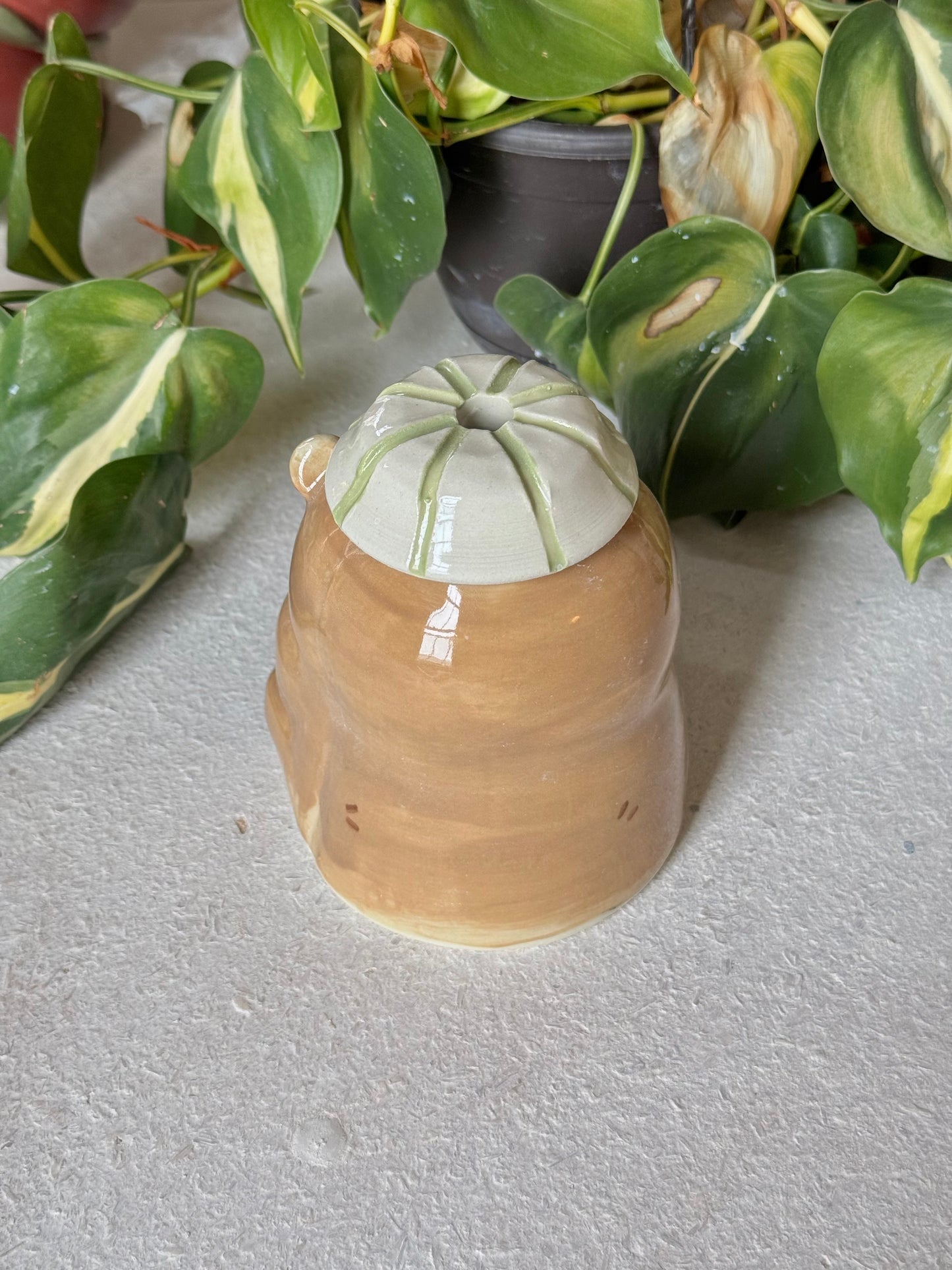 Chestnut Bear Tumbler (imperfect)